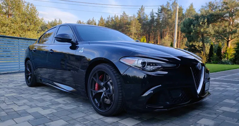 alfa romeo Alfa Romeo Giulia cena 205000 przebieg: 25000, rok produkcji 2017 z Ostrołęka